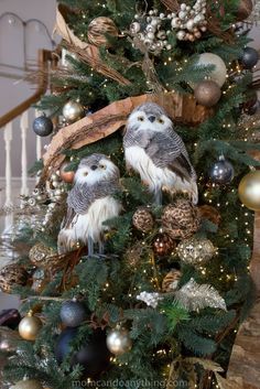 two owls sitting on top of a christmas tree