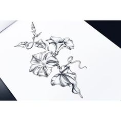 a black and white drawing of flowers on a piece of paper with a laptop in the background