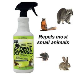 repelles most small animals