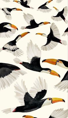 a flock of birds flying through the air with their wings spread out and there are many different colored beaks