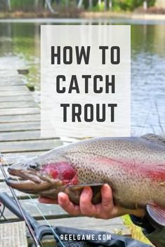 a man holding a large fish on top of a wooden dock with the words how to catch