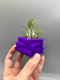 a hand holding a stack of purple books with a plant in it