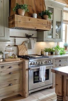 a kitchen with an oven, stove and potted plants on the shelf above it