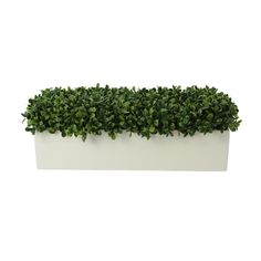 a white planter filled with lots of green plants