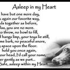 a dog laying down with its head on the ground next to a poem that says, asleep in my heart