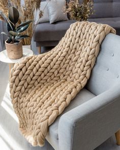 a couch with a blanket on top of it in a living room next to a potted plant