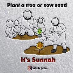 an advertisement for sunnah plant a tree or sow seed, it's sumah