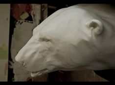 a close up of a white bear head on a wall