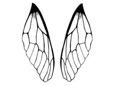 the wings of a butterfly are drawn in black and white, with one wing missing