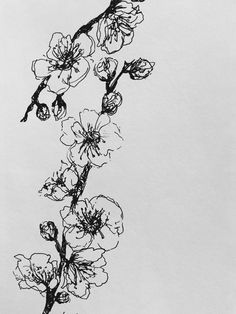 a black and white photo of some flowers on a branch with one flower in the middle