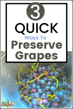 grapes in a colander with the words 3 quick ways to preserve grapes on it