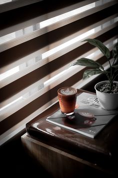 a potted plant sitting on top of a table next to a window with blinds