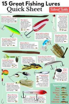 fishing lures that are great for beginners