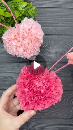 two pink flowers are being held by someone's hands over a gray wooden table