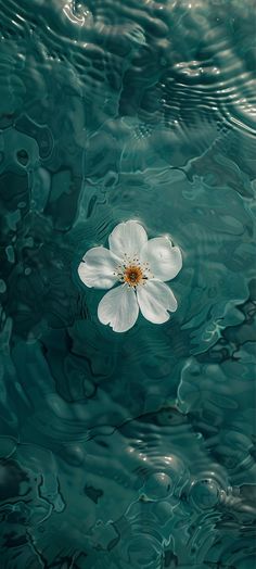 a white flower floating on top of water next to a green surface with ripples