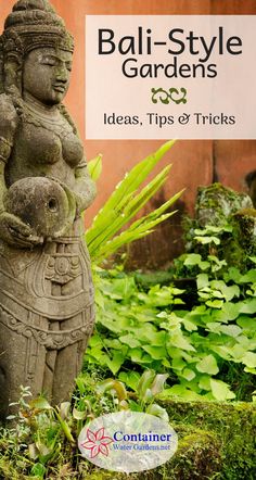 an advertisement for bali - style gardens ideas, tips and tricks