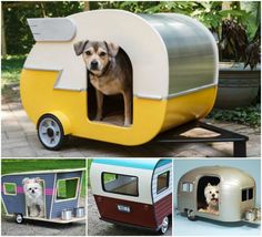 there are four different types of trailers with dogs in them and one has a dog inside the trailer