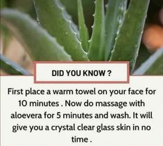 Natural Skin Care Remedies, Good Skin Tips, Beauty Tips For Glowing Skin, Healthy Skin Tips, Skin Remedies, Skin Care Remedies, Skin Care Recipes