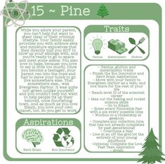 a green poster with instructions on how to use the pine tree as an info sheet