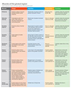 a table with three different types of the physical and mental needs for people to understand