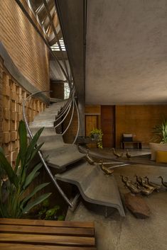 a spiral staircase in the middle of a building with plants growing on it's sides