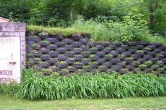 a large pile of tires sitting on top of a lush green field