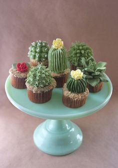 cupcakes made to look like succulent plants on a blue plate with a brown background