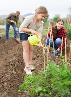 two people are working in the garden together