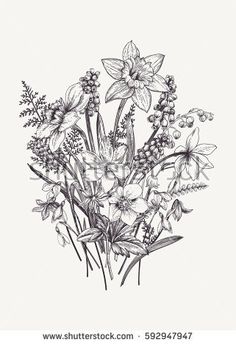 black and white drawing of flowers on a white background stock photo royaltyvectors