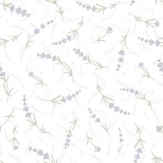 an image of lavender flowers on a white background with green stems and leaves in pastel shades