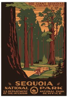 an image of a poster for sequa national park in the forest with trees