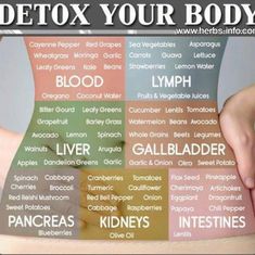 Shrink Tumors Naturally, Natural Antibiotics Bacteria, Caster Oil, Healthy Healing, Healthy Pantry, Period Hacks, Alkaline Diet, Healthy Detox