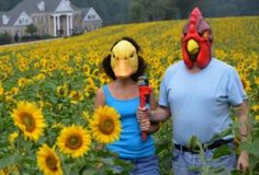 two people standing in a field with sunflowers and one has a chicken mask on