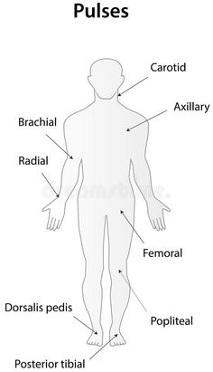 the human body with labels on it