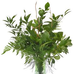 a green vase filled with lots of greenery