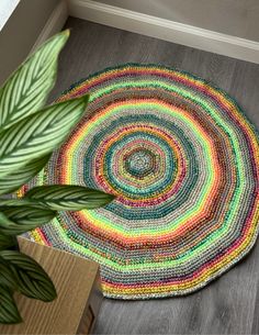 a multicolored round rug on the floor next to a potted green plant