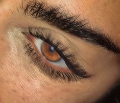 Amber Eyes Color, Honey Eyes, Pretty Brown Eyes, Amber Eyes, Golden Eyes, Eye Photography, Aesthetic Eyes, Hazel Eyes