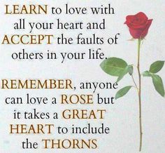 a rose with the words learn to love with all your heart and accept the falls of others in your life