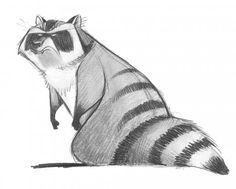 a drawing of a raccoon sitting down with its head turned to the side