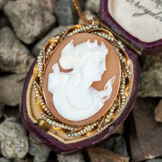 This beautiful cameo brooch pin pendant necklace features a shell cameo of the Goddess Selene and has a twisted gold and seed pearl boarder. The brooch pin pendant is crafted in 10k yellow gold and hangs from a 14k yellow gold, 16" flat curb chain. Goddess Selene, Embellishment Diy, Cameo Jewelry, Aesthetic Pastel, Cameo Brooch, Pin Pendant, Seed Pearl, Pastel Wallpaper, The Goddess