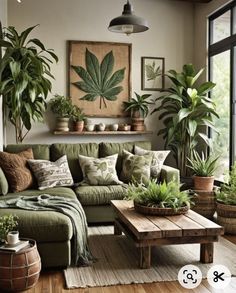 a living room filled with lots of plants and potted plants on top of a wooden table