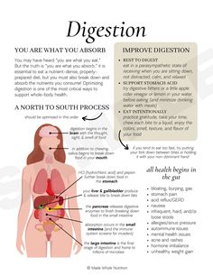 Handout Design, Nutritional Therapy Practitioner, Functional Health, Motivasi Diet, Nutritional Therapy, Feminine Health, Health Research