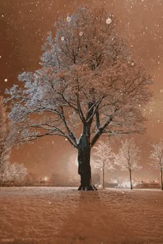 a tree in the middle of a snowy field with snow flakes falling on it