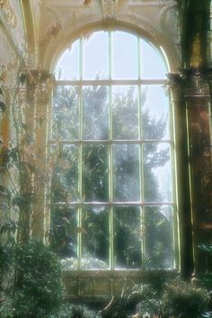 an image of a window that is in the middle of a room with plants on it