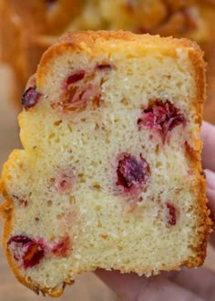 a close up of a person holding a piece of cranberry bread