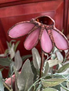 a pink flower with green leaves in front of a red door