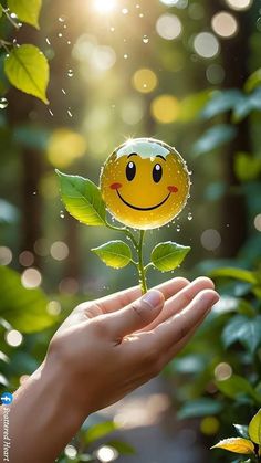 a hand holding a small yellow smiley face flower