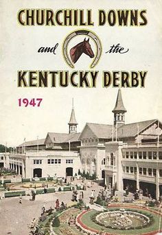 the front cover of a book with an image of a horse and jockey on it