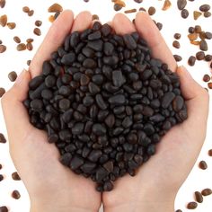 a person holding up some black beans in their hands