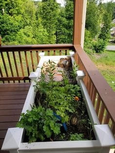 an outdoor planter filled with plants on a deck